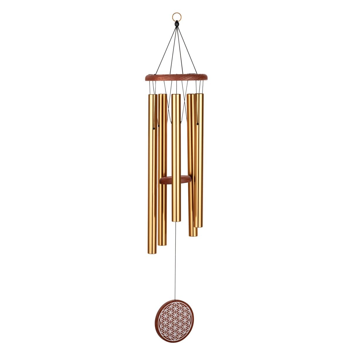 Sonic Energy FOLMC36B FOLMC36B