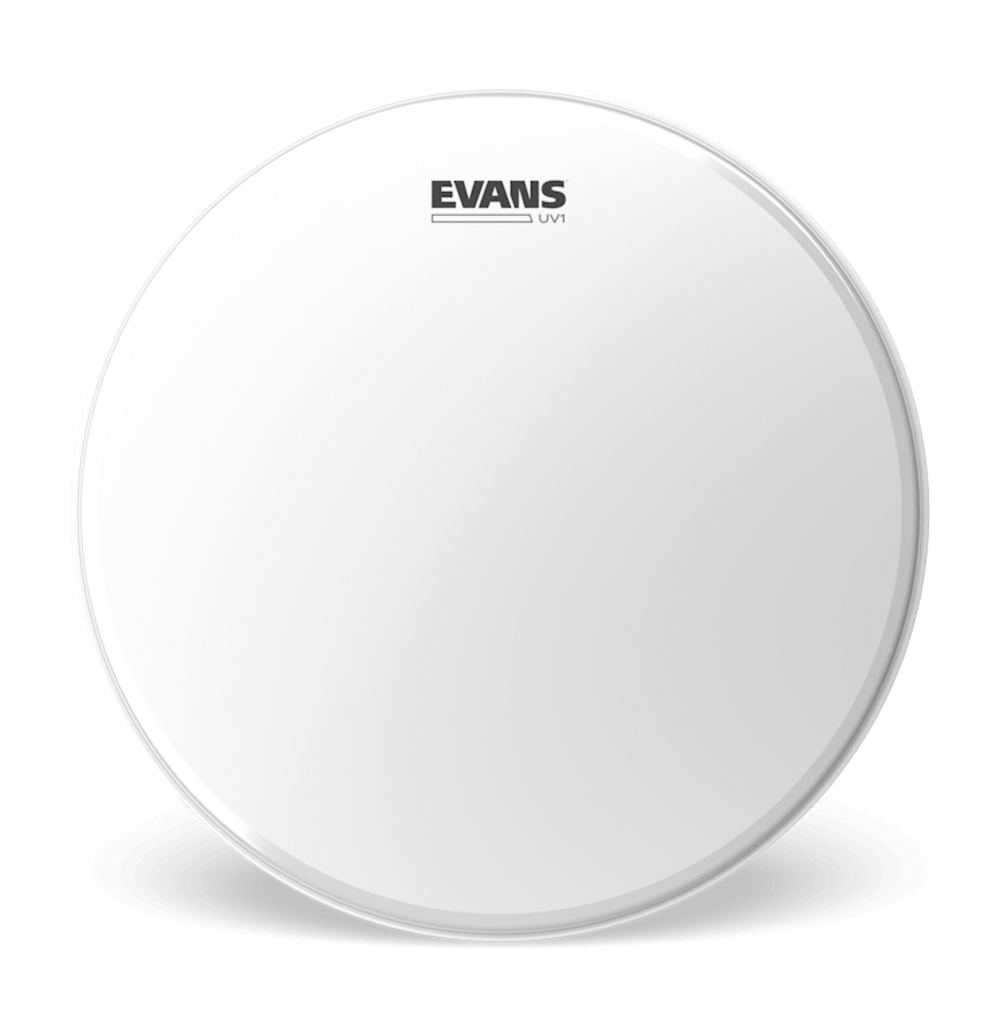 Evans UV1 Cabezal de Bajo 18" UV1 Cabezal de Bajo 18"