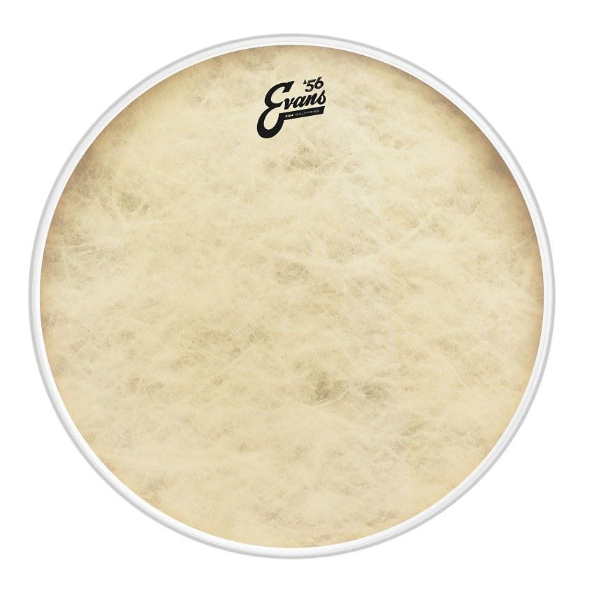 Evans 16 EQ4 Calftone Parche de Tom TT16GB4CT 16 EQ4 Calftone