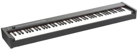 Korg D1 Piano digital de escenario DIG D1