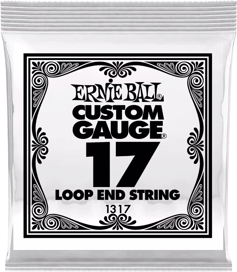 ERNIE BALL Cuerda Mandolina / Banjo Stainless Steel .017 CEB1317
