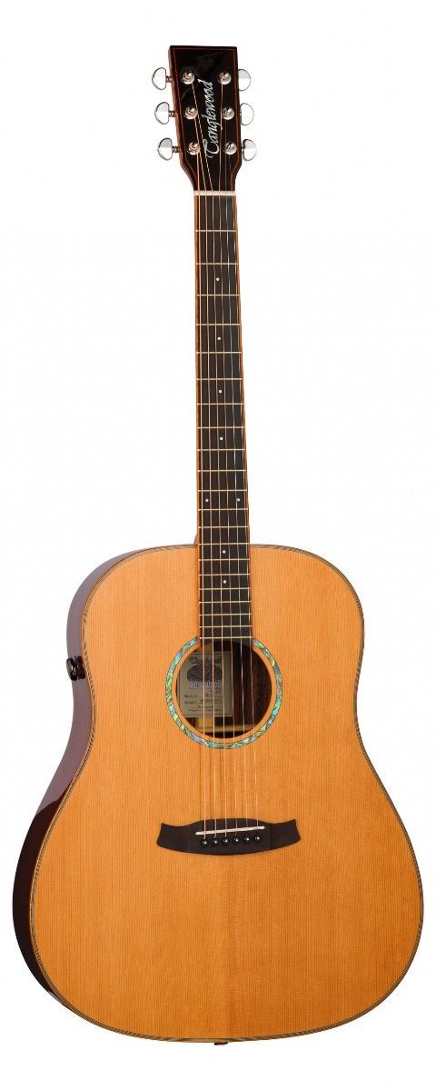 Tanglewood TRS5SE TRS5SE