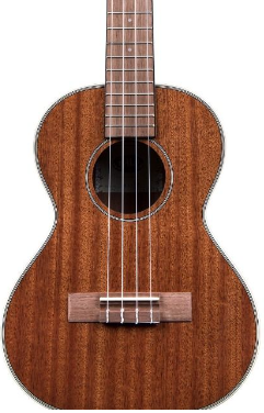 Kala Katg Ukelele Tenor KATG