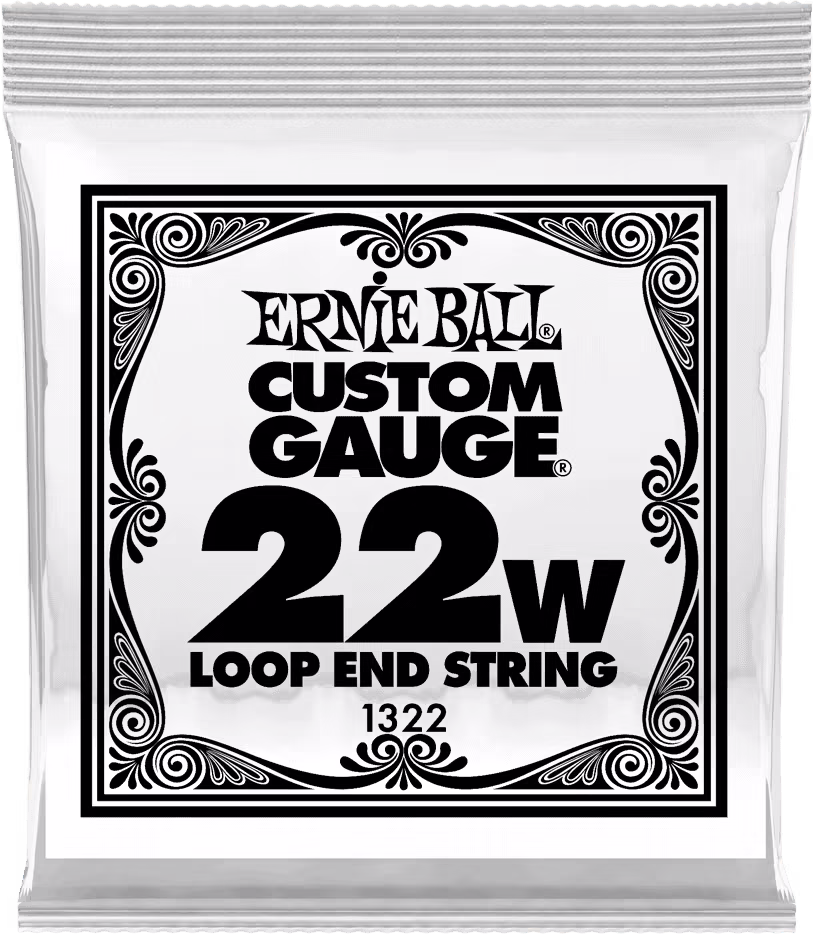 ERNIE BALL Cuerda Mandolina / Banjo Stainless Steel Entorchada .022 CEB1322