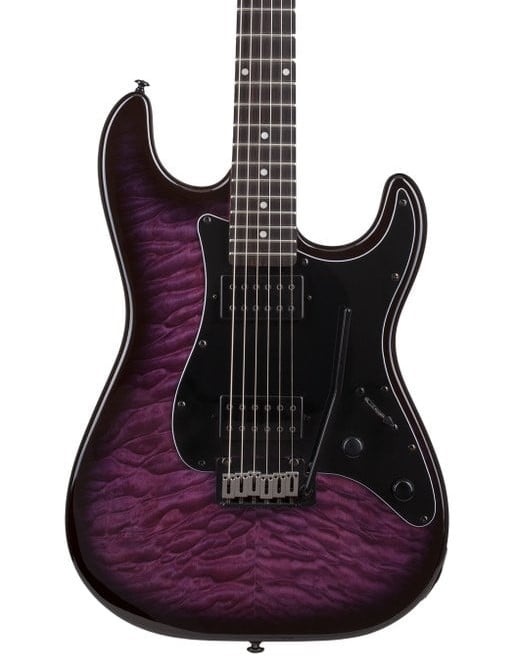 Schecter Trad Pro Ebony TPB Guitarra Eléctrica TRAD PRO-EBONY TPB