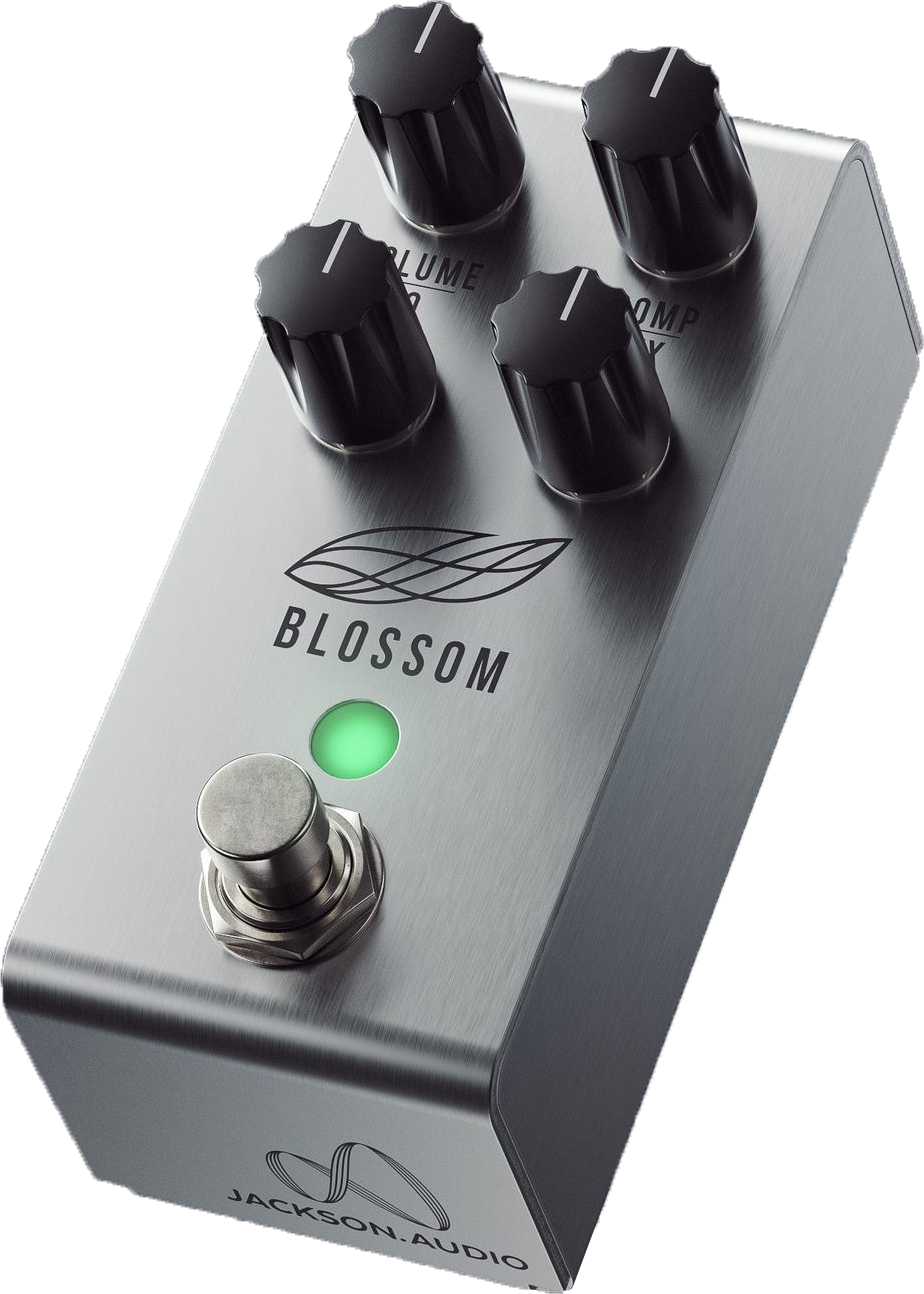 Jackson Audio Blossom Blossom