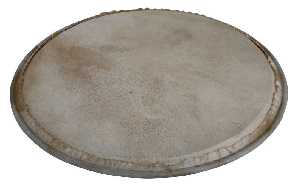 Latin Percussion 12\" Parche de percusión Plenera WB505C