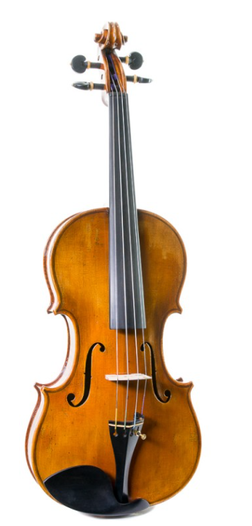 Stentor Violin Verona 4/4 COVISTVER