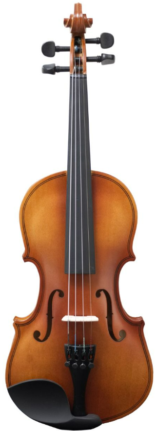 Amadeus Violín Amadeus Va-101 1/4 VA10114