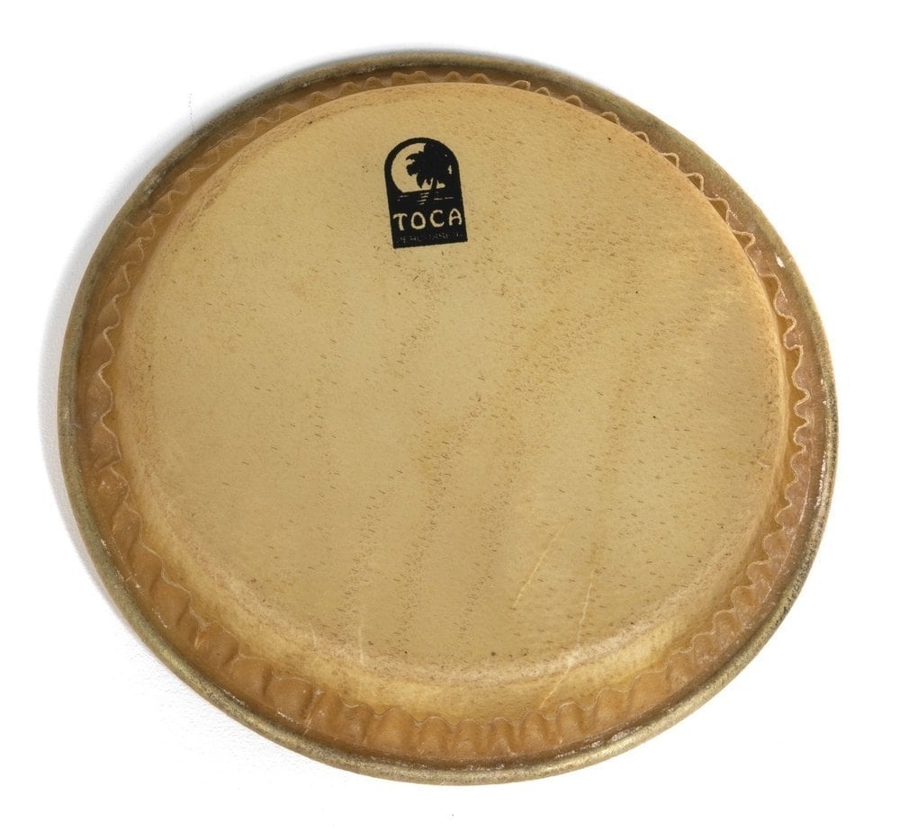 Toca Percussion TP-33009 Parche de Omele Grande 8,5 Pulgadas TP-33009