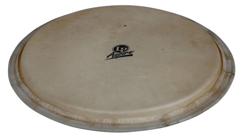 Latin Percussion Parche para Djembe Aspire, 12,5", Piel de Cabra LP881.500
