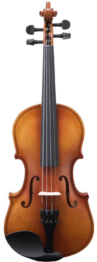 Amadeus Violín VA-101 1/2 VA10112