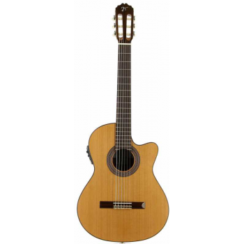Jose torres jtc-20ce guitarra clásica electrificada