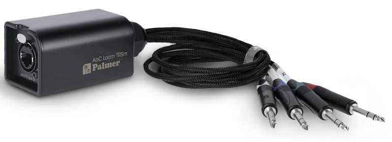 Palmer AoC Loom TRSm Cable Adaptador multipar Audio etherCon AoC Loom TRSm - Cable adaptador multipar Audio ove