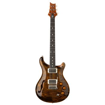 Prs dgt semi-hollow tiger eye moons