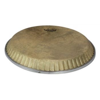 Remo 815172 skyndeep symmetry conga low collar 11,06 pulgadas m2-1106-s6-d2003