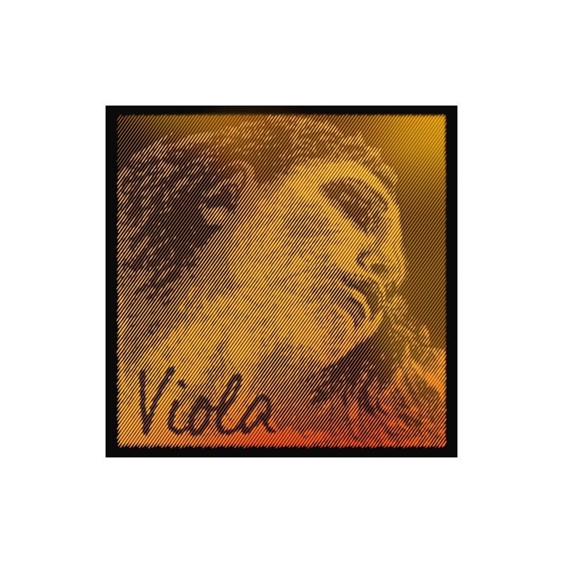 Pirastro Juego de cuerdas de viola Evah Pirazzi Gold ACCVAEPGJ