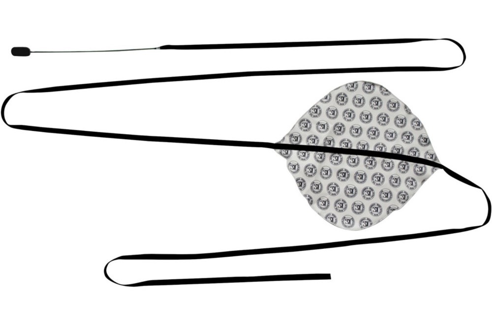 BG France Pañuelo Microfibra Saxo Barítono A-30SB A-30SB