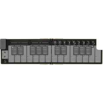 Korg nanokey fold sand beige teclado maestro