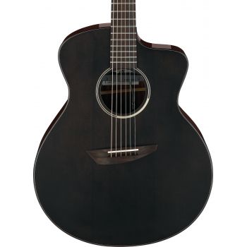 Ibanez jgm5 bsn guitarra acústica