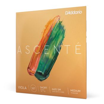 D´addario ascente vla 10blk set sh med