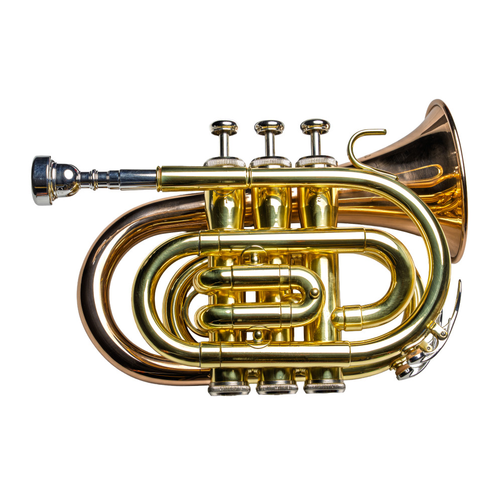 Taylor Collins Trompeta Pocket TCPTR-36 Lacada/Oro rosa TCPTR-36