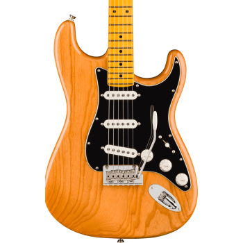 Fender american professional stratocaster mn natural