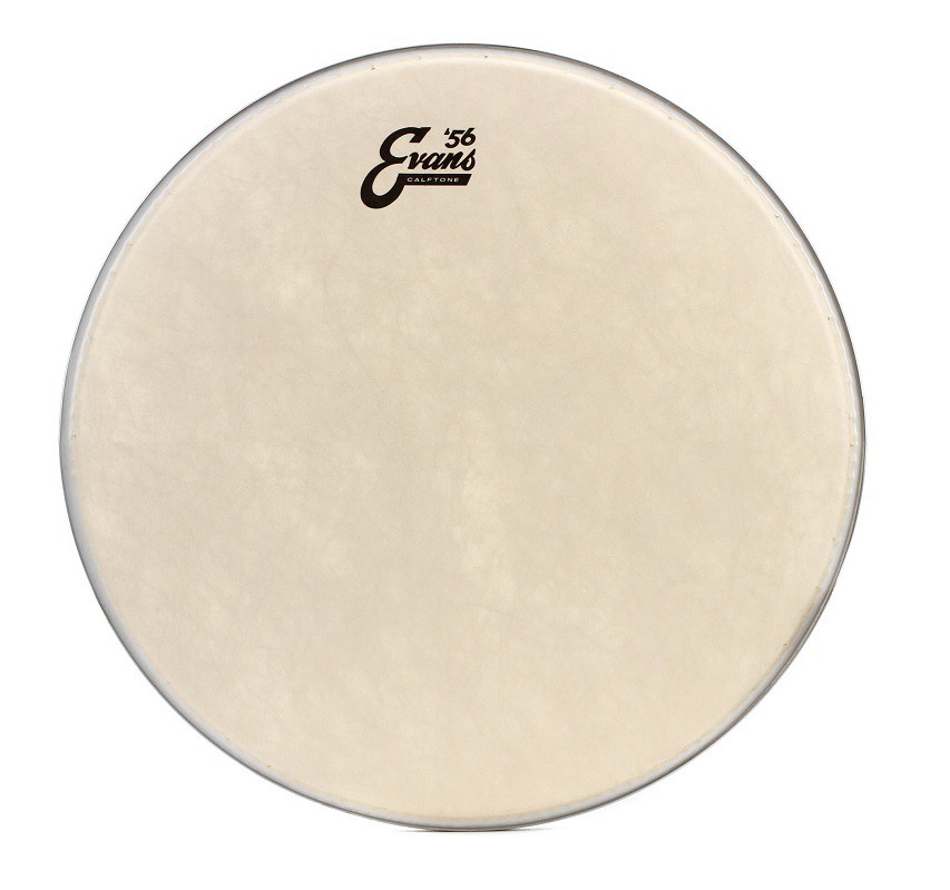 Evans 18 Calftone Parche de Tom TT18C7 18 Calftone