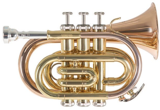 Roy Benson PT-101G Trompeta Bb Pocket PT-101G