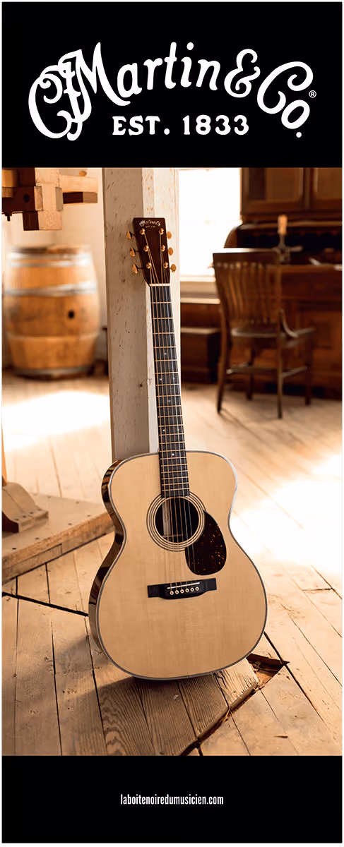 Martin guitars ycfmrollup02 otros merchandising