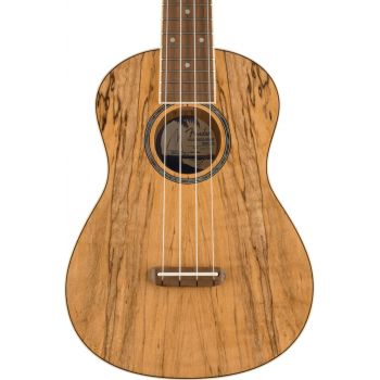 Fender zuma exotic concert ukulele wn spalted maple