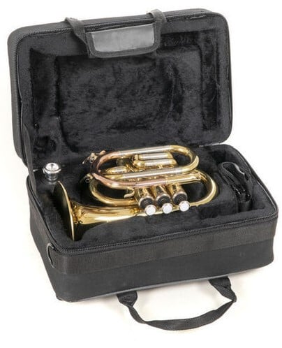 Roy Benson PT-302 Trompeta Bb Pocket PT-302