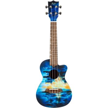Flight ukelele concert auc-city art series elise ecklund signature