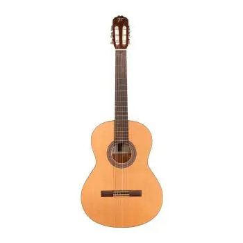 Jose torres jtc-20s guitarra clasica