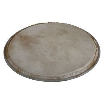 Latin percussion 12\ parche de percusión plenera