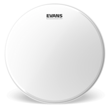 Evans uv1 cabezal de bajo 22